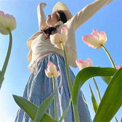 黑影家族 推荐